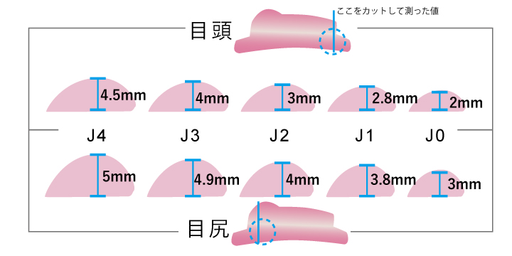 スーパーDカールジェニファーラッシュリフトの厚み