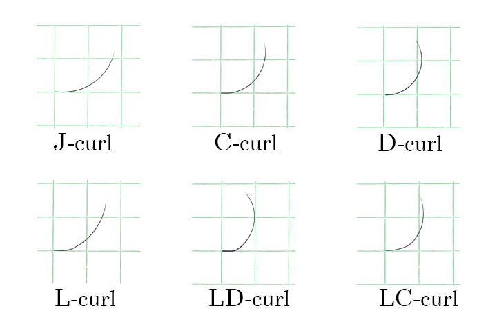 マットセーブルカール表